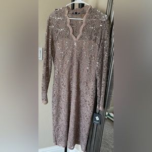 Woman’s size 12, Taupe, long sleeve, knee length, lace with sequins dress.